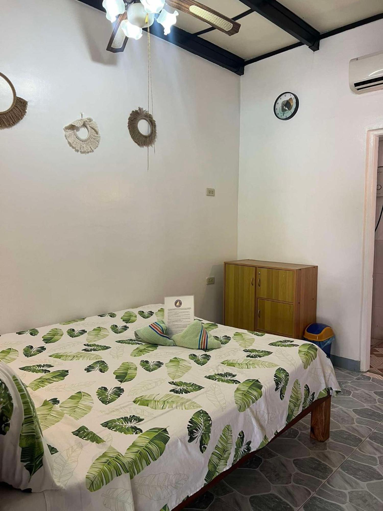 Ice Bear Bar & Tourist Inn Dauis Стая снимка